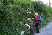 MONTE MAGNODENO e CRESTE DELLA GIUMENTA ad anello da Erve il 25 aprile 2016 - FOTOGALLERY